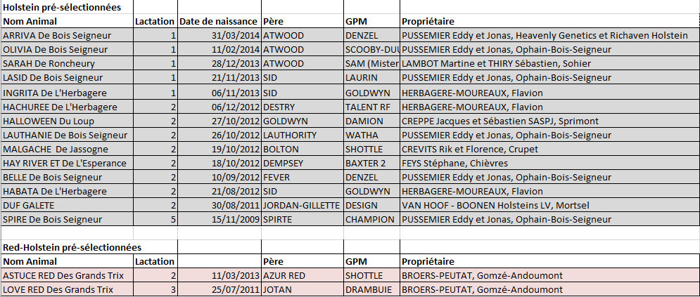 They held 16 pre-selected cows (black and red 14 2) of the 33 cows ...